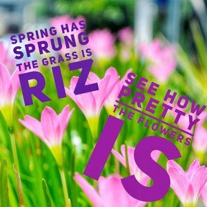 CHECK OUT OUR CLOSET See Details